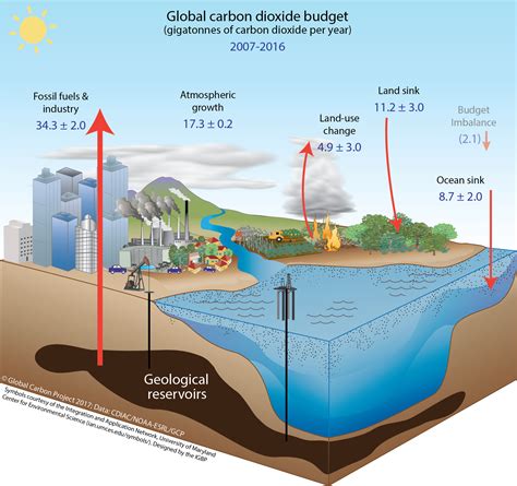 sink so much piss|Environmental Impact of Sink